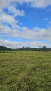 terrenos