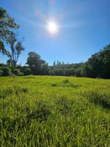 terrenos (1)