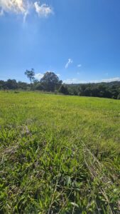 terrenos (2)